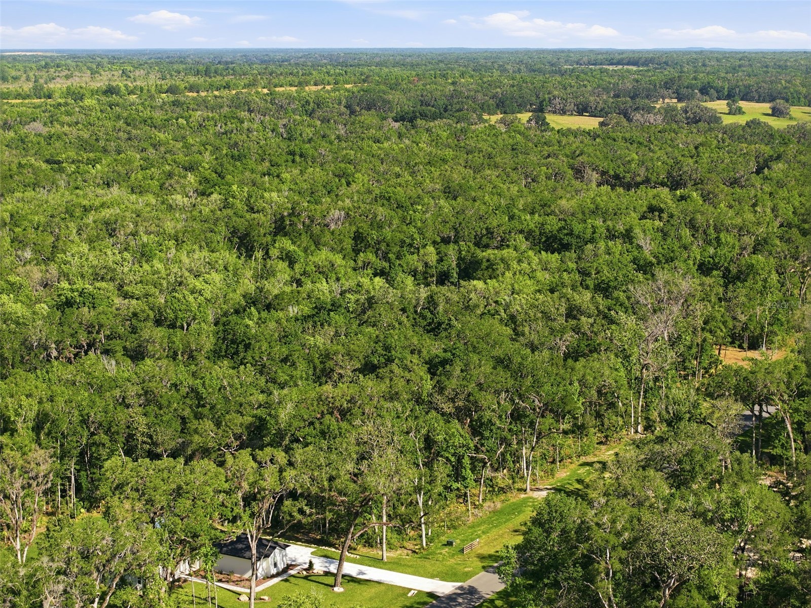 Republican (Lot 2) Way Brooksville FL 34601 W7885022 image25