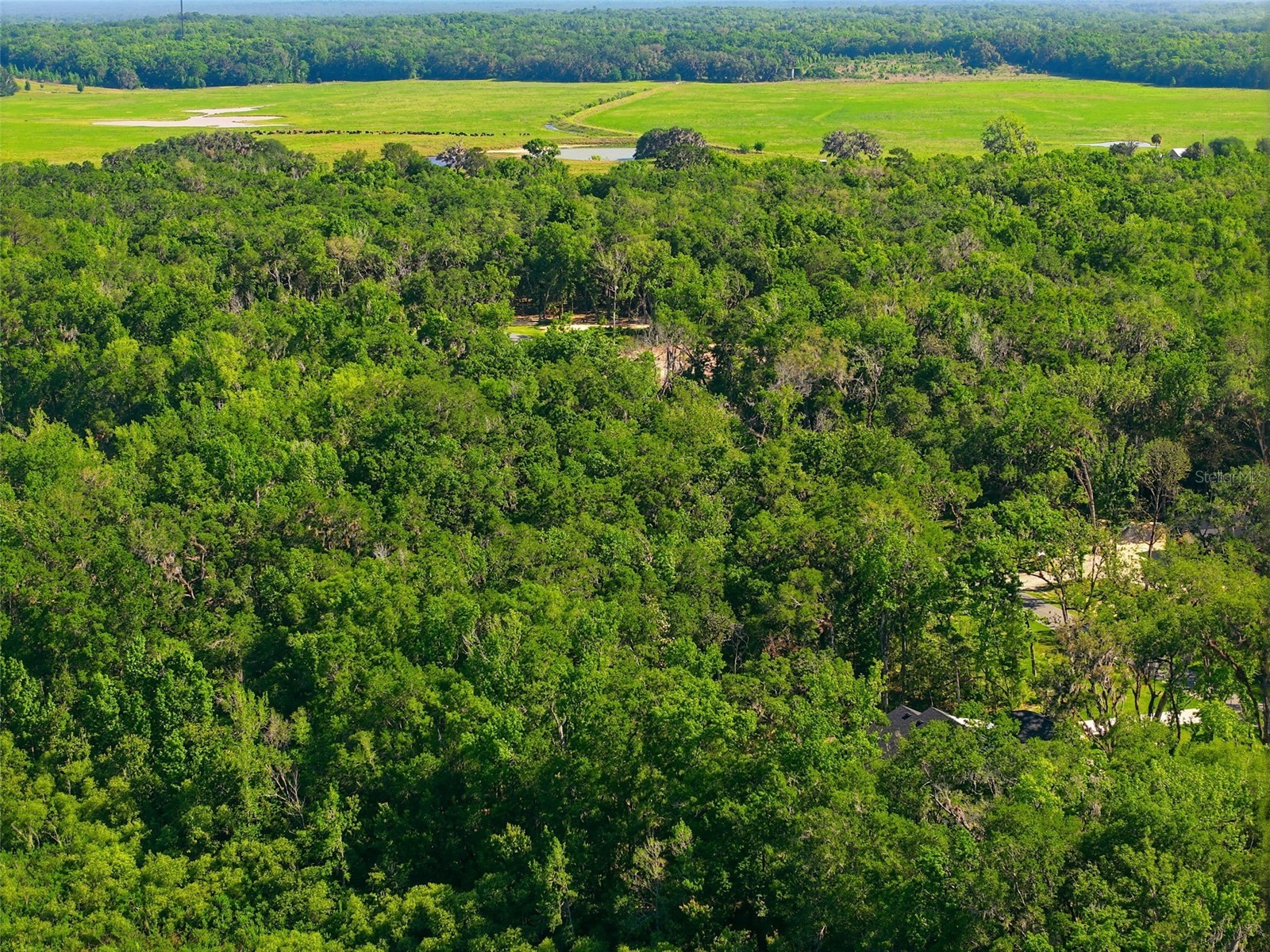 Republican (Lot 2) Way Brooksville FL 34601 W7885022 image27