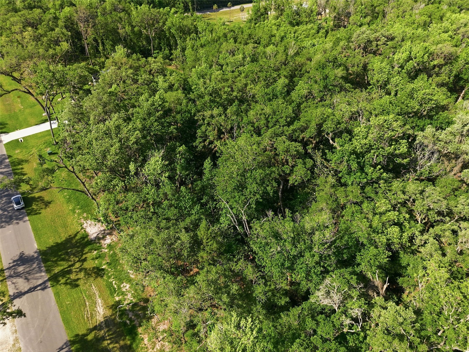 Republican (Lot 2) Way Brooksville FL 34601 W7885022 image29