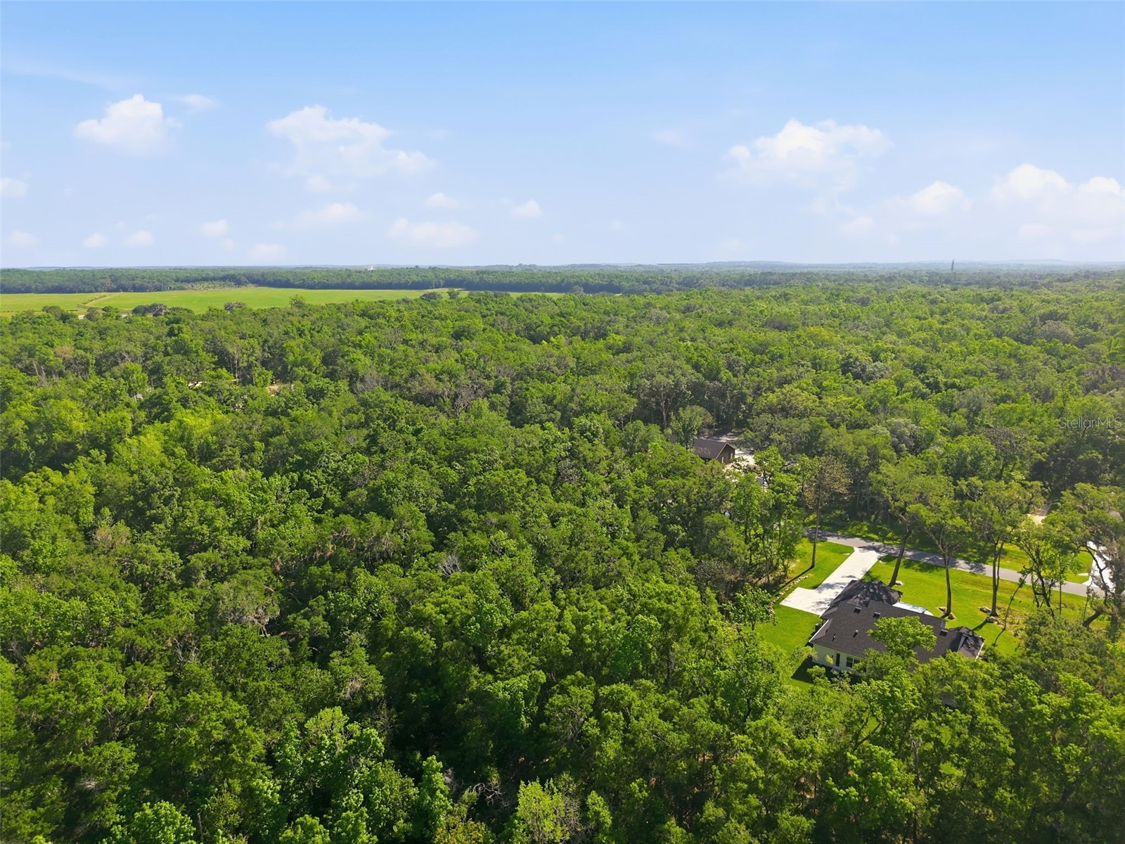 Republican (Lot 2) Way Brooksville FL 34601 W7885022 image8