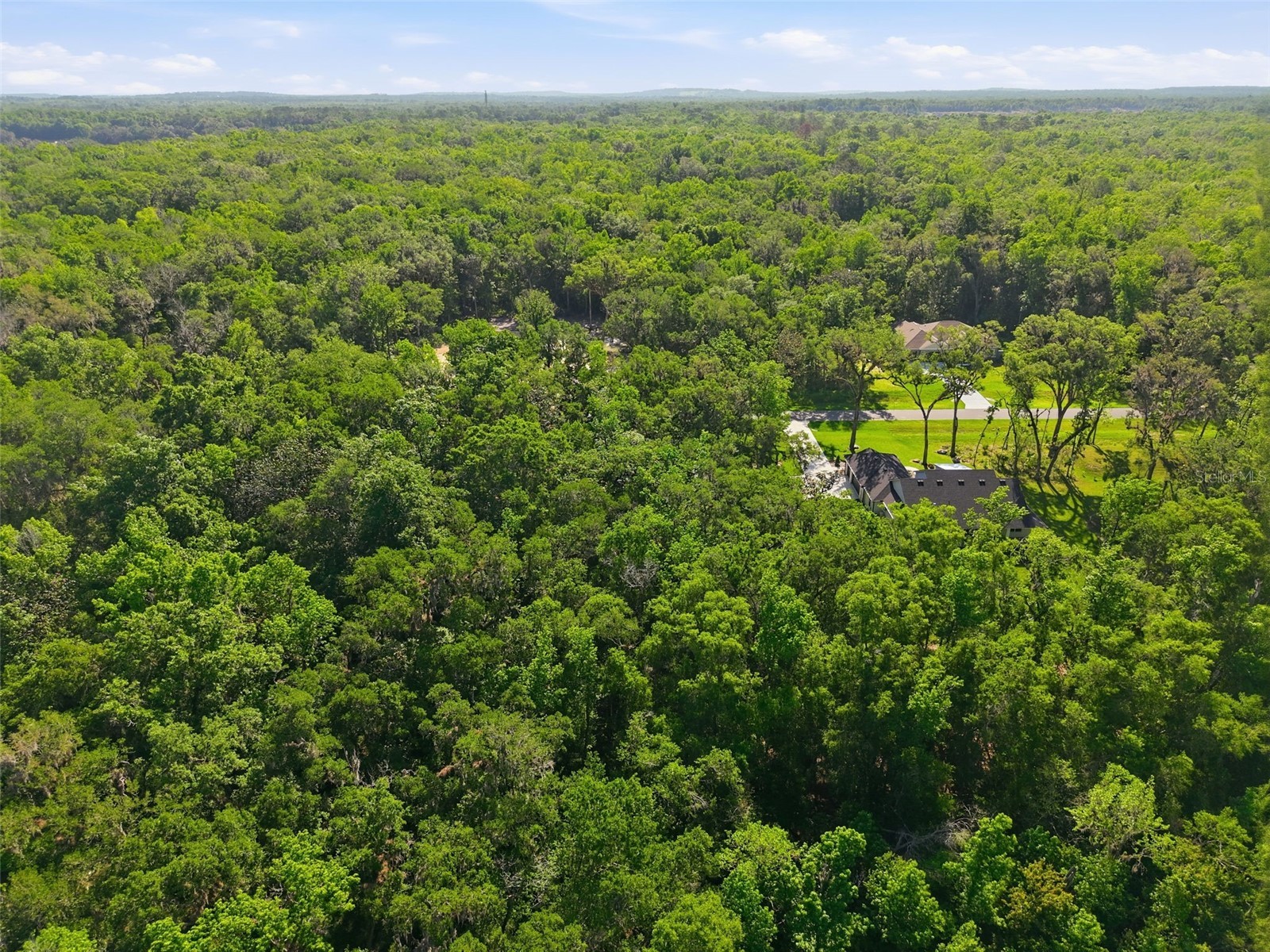 Republican (Lot 2) Way Brooksville FL 34601 W7885022 image9