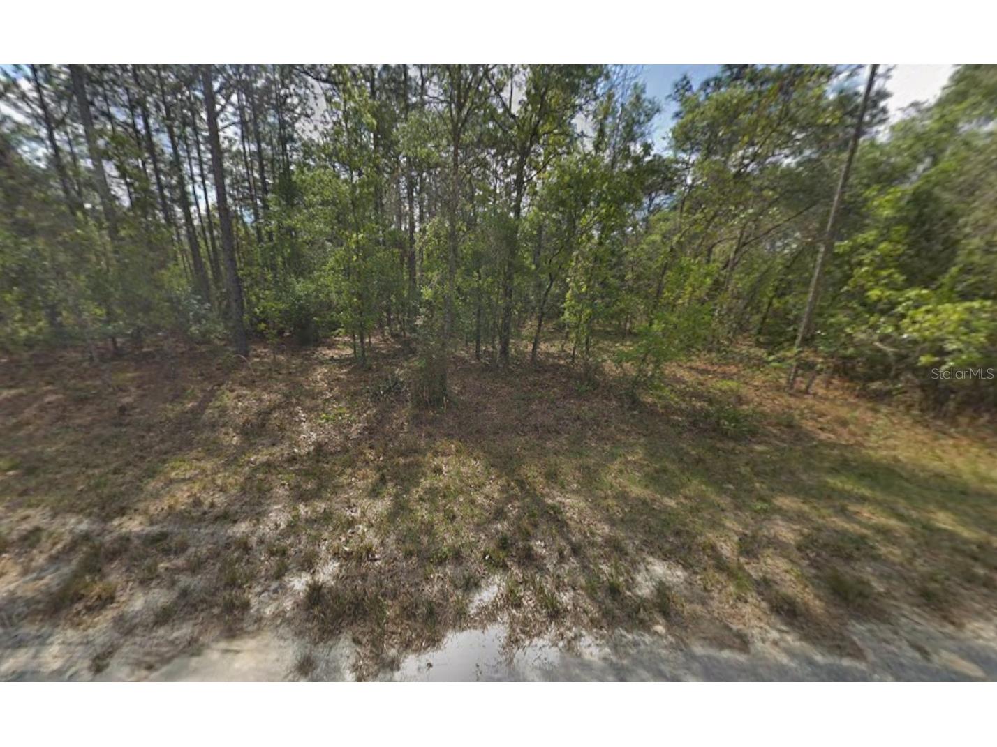 Resort Avenue Weeki Wachee FL 34614 K4903226 image1