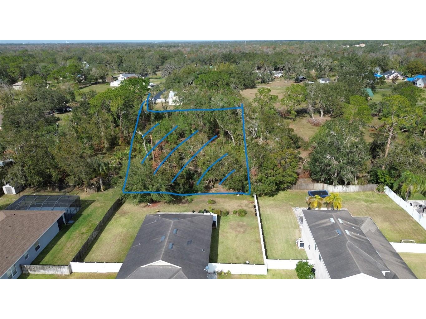 Revels Road Riverview FL 33569 TB8415875 image3