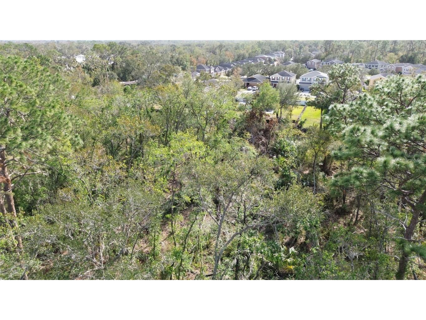 Revels Road Riverview FL 33569 TB8415875 image6