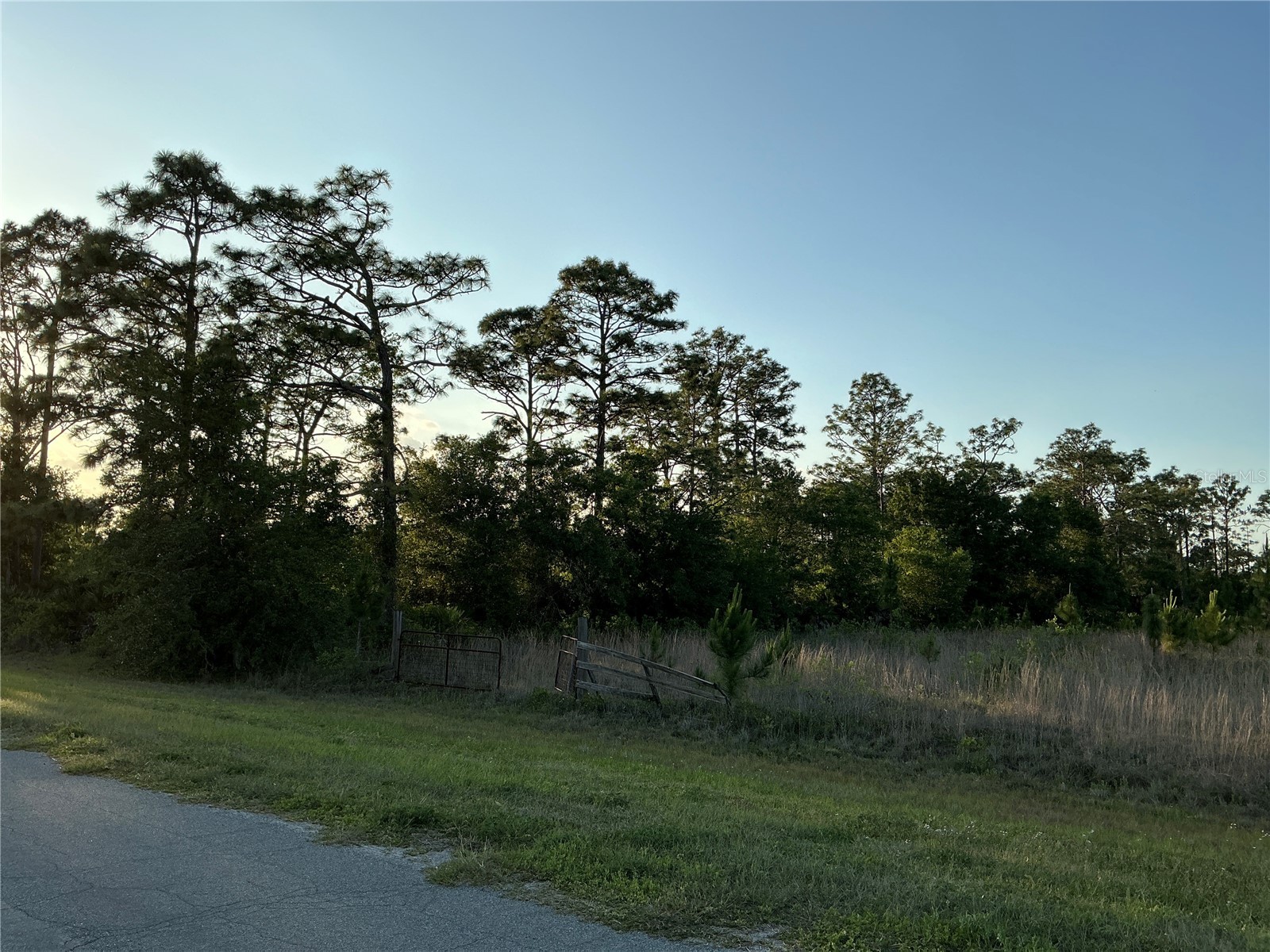 Reynolds Parkway Orlando FL 32833 OM725208 image1