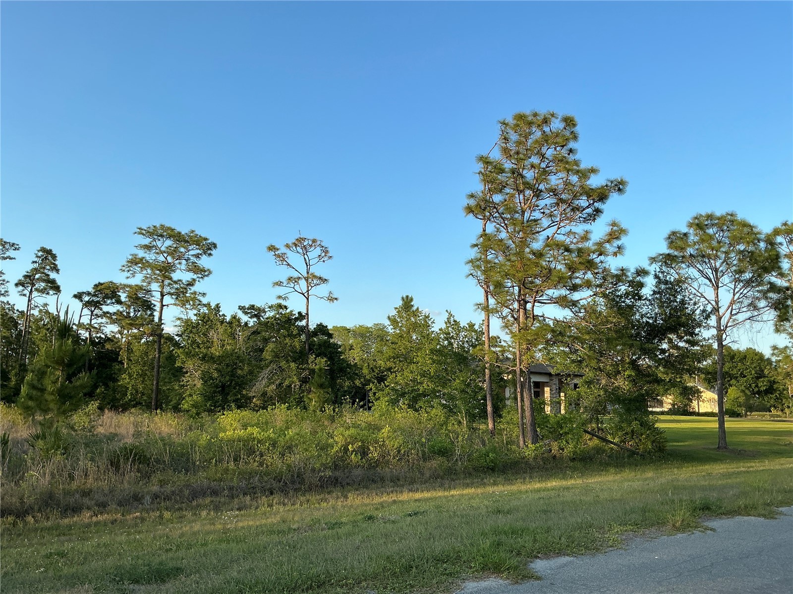 Reynolds Parkway Orlando FL 32833 OM725208 image4