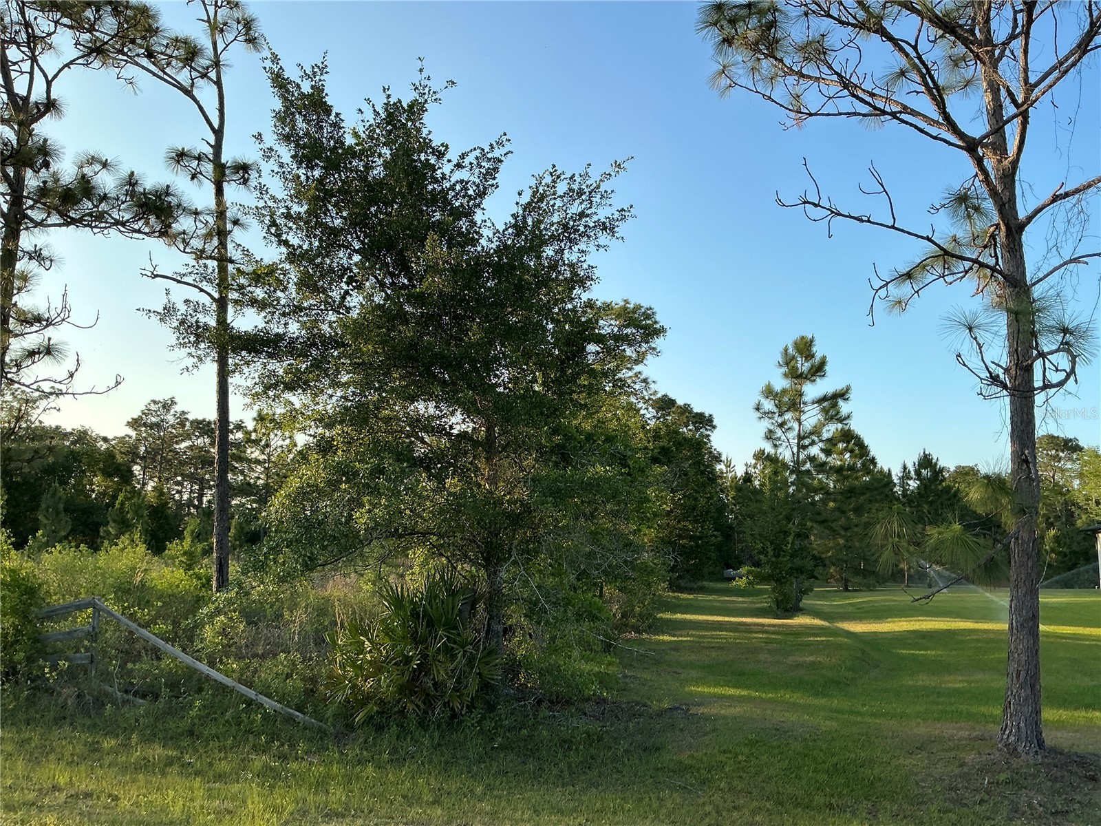 Reynolds Parkway Orlando FL 32833 OM725208 image5