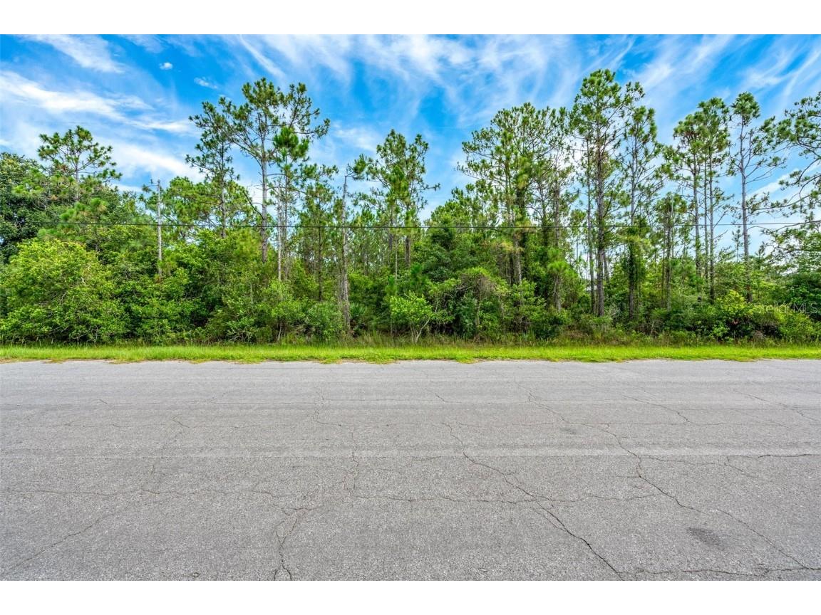 Reynolds Parkway Orlando FL 32833 S5109703 image1