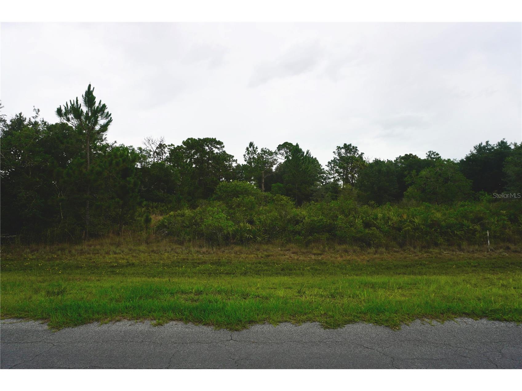Reynolds Parkway Orlando FL 32833 S5150969 image1