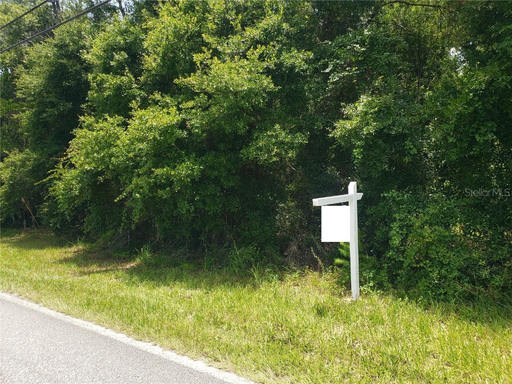 Reynolds Road De Leon Springs FL 32130 O6225952 image4