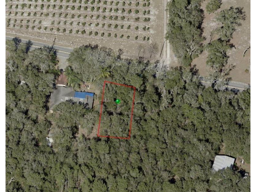 Reynolds Road De Leon Springs FL 32130 O6225952 image7