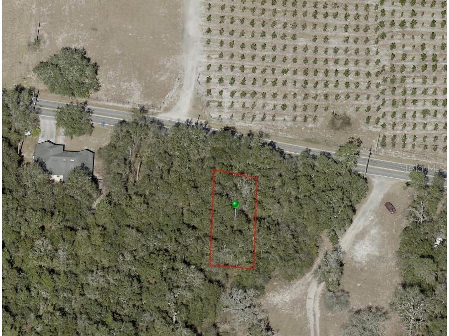 Reynolds Road De Leon Springs FL 32130 O6225958 image6