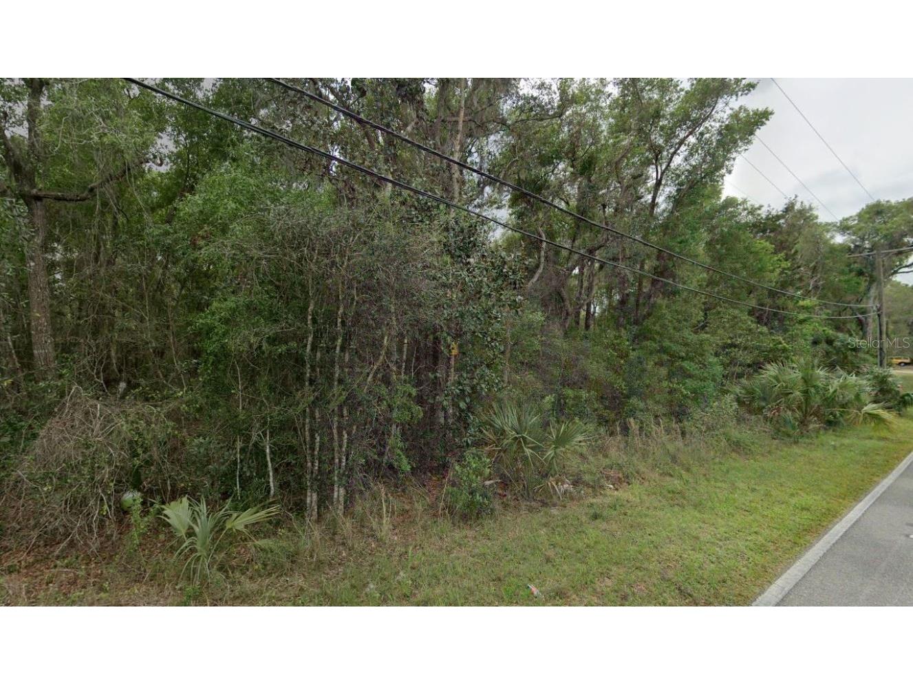 Reynolds Road De Leon Springs FL 32130 O6292104 image1
