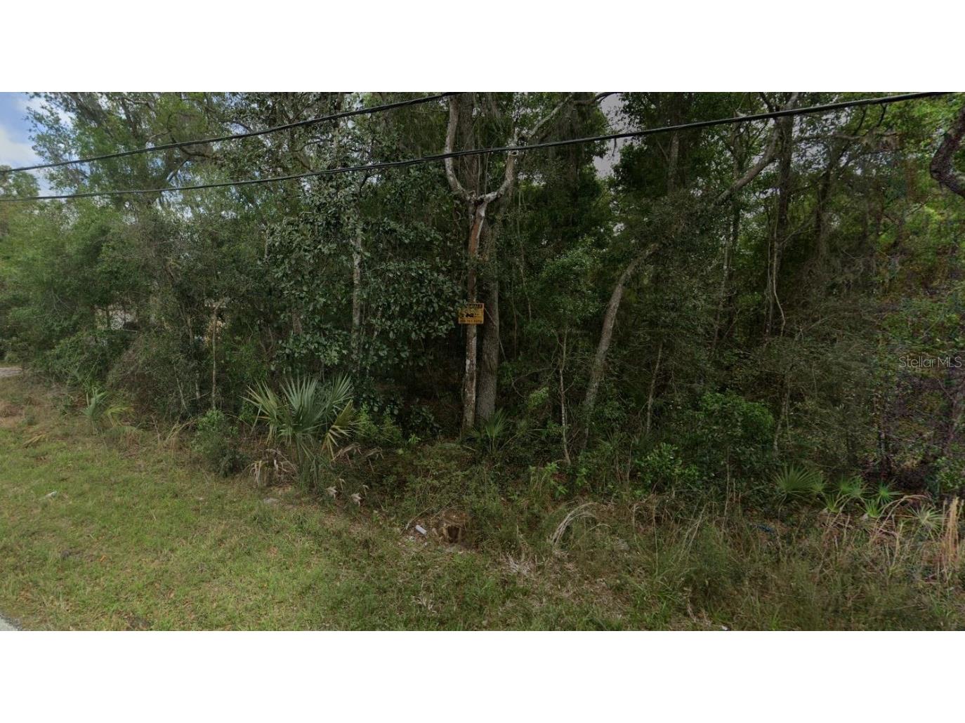 Reynolds Road De Leon Springs FL 32130 O6292104 image2