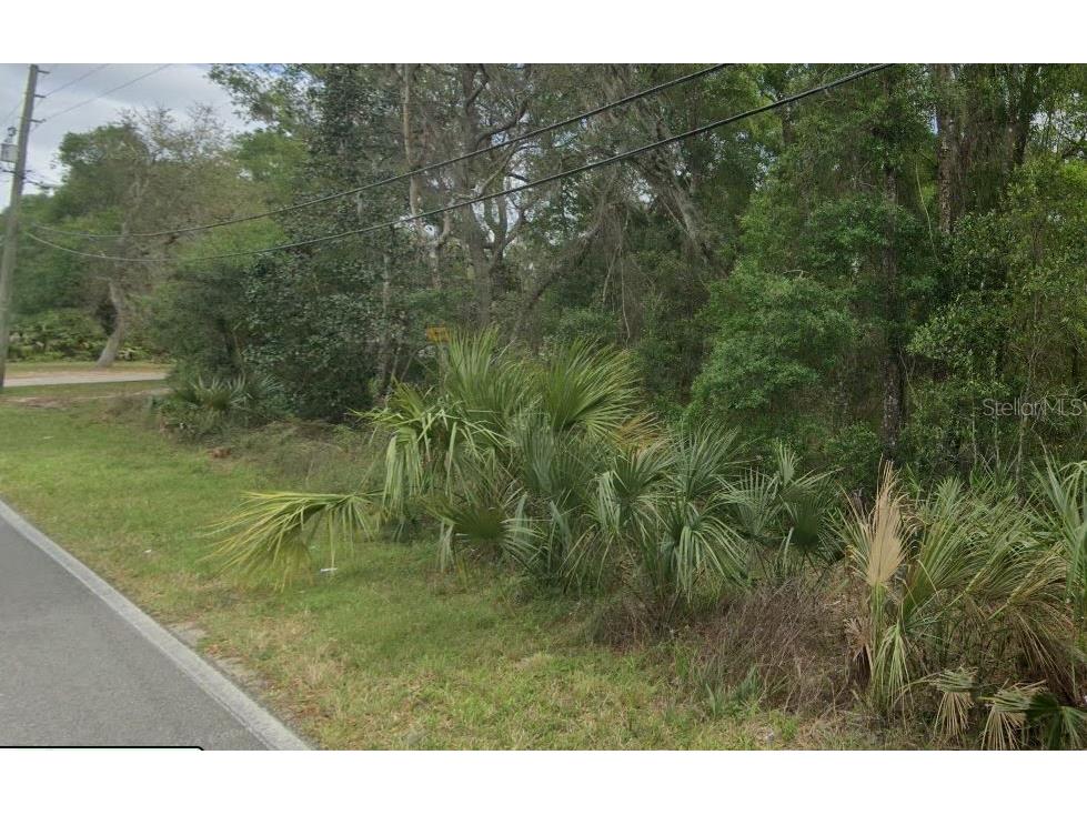 Reynolds Road De Leon Springs FL 32130 O6292104 image3