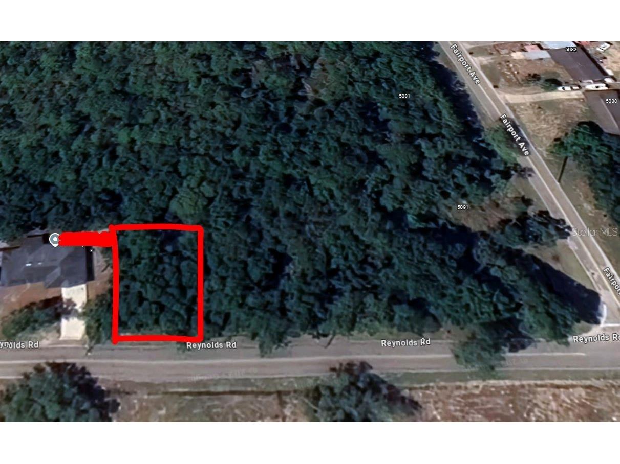 Reynolds Road De Leon Springs FL 32130 O6292104 image5