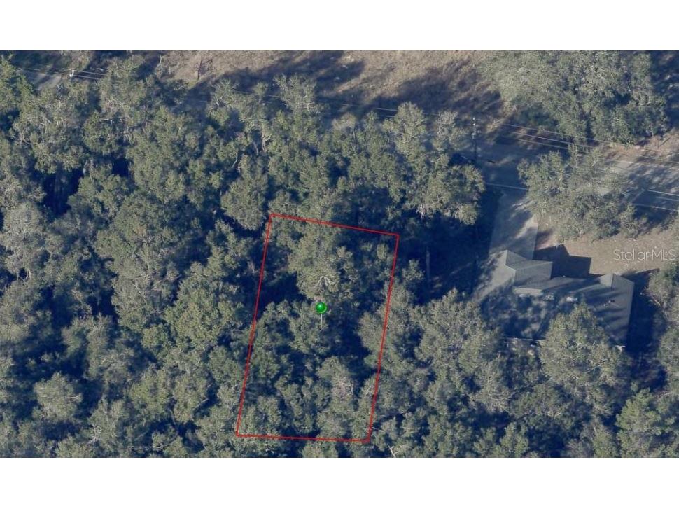 Reynolds Road De Leon Springs FL 32130 O6292104 image6