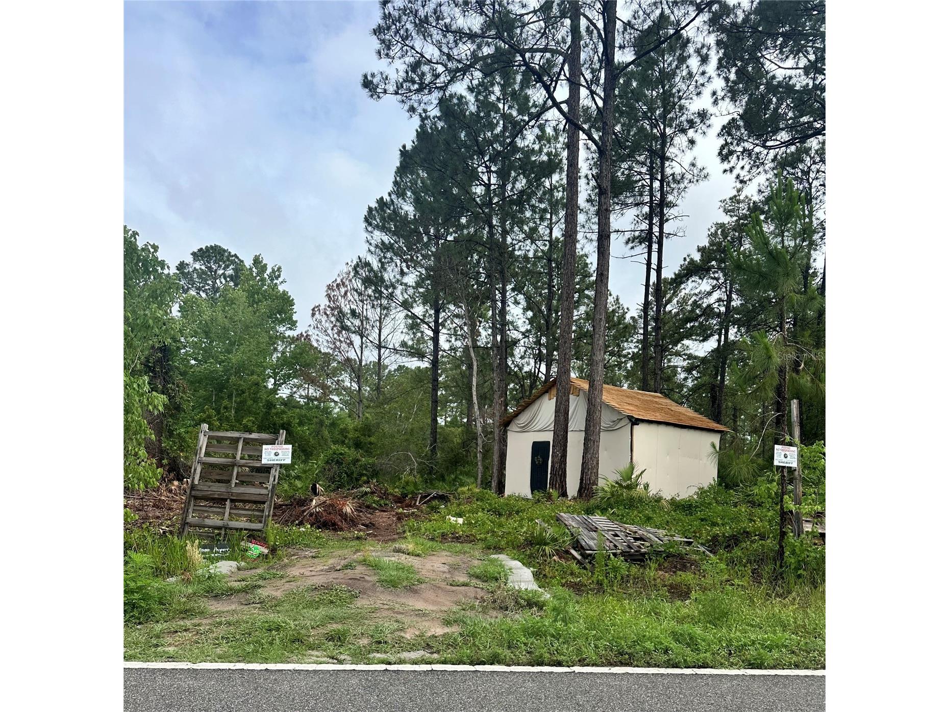 Reynolds Road De Leon Springs FL 32130 V4947585 image1