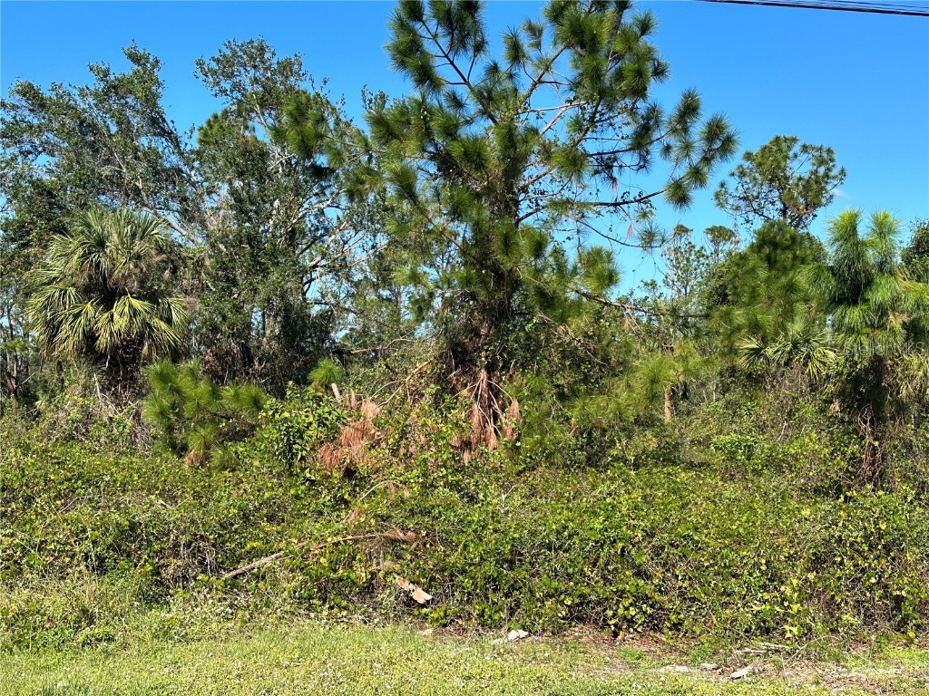 Richardson Street North Port FL 34288 C7468744 image1