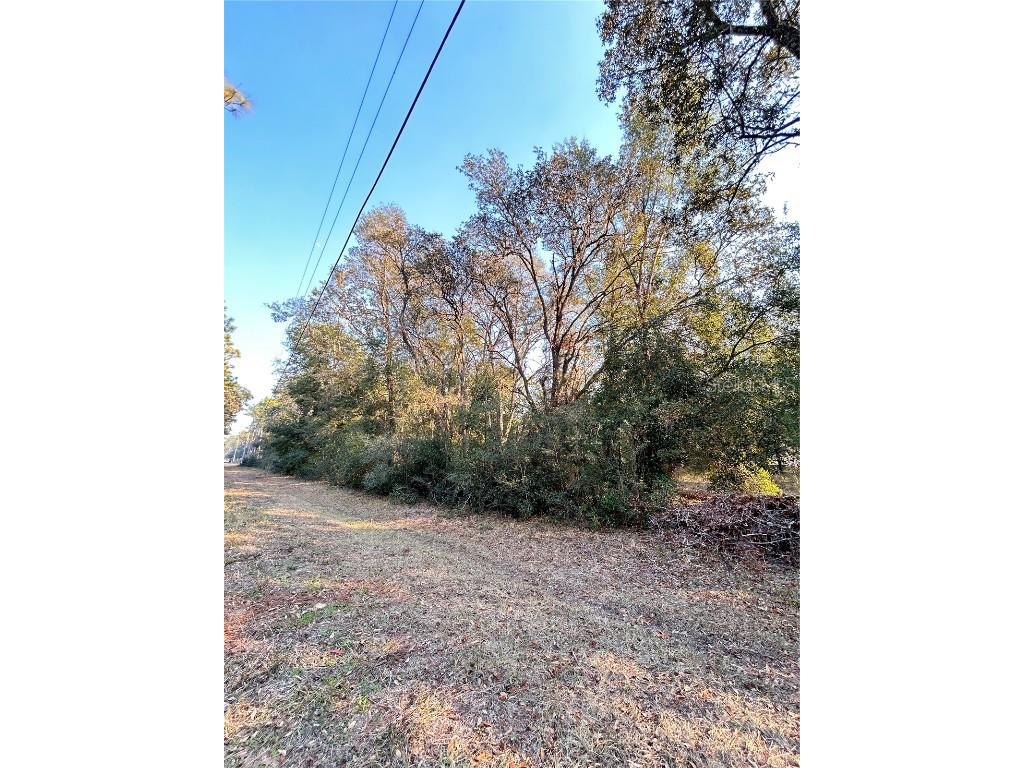 Richbarn Road Brooksville FL 34601 TB8338261 image1