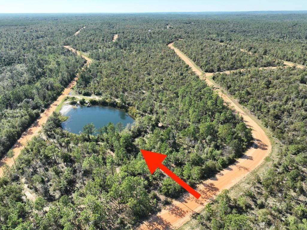 Richland Street Alford FL 32420 O6363876 image1