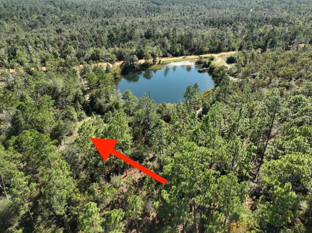 Richland Street Alford FL 32420 O6363876 image11