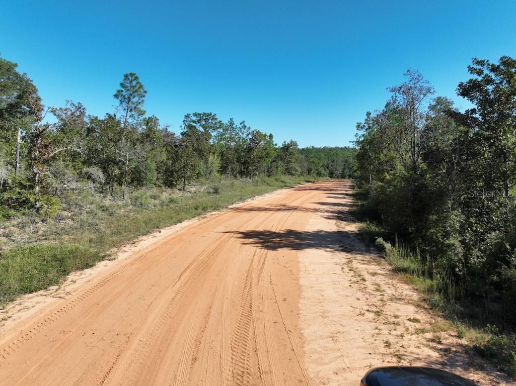 Richland Street Alford FL 32420 O6363876 image13