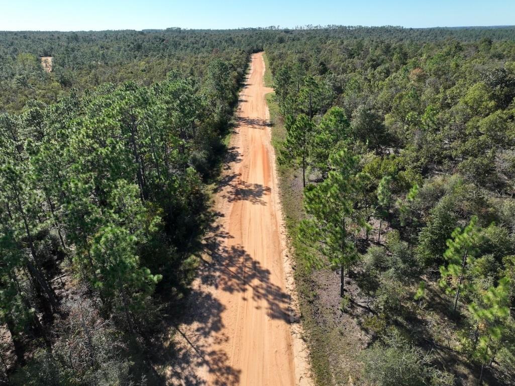 Richland Street Alford FL 32420 O6363876 image14