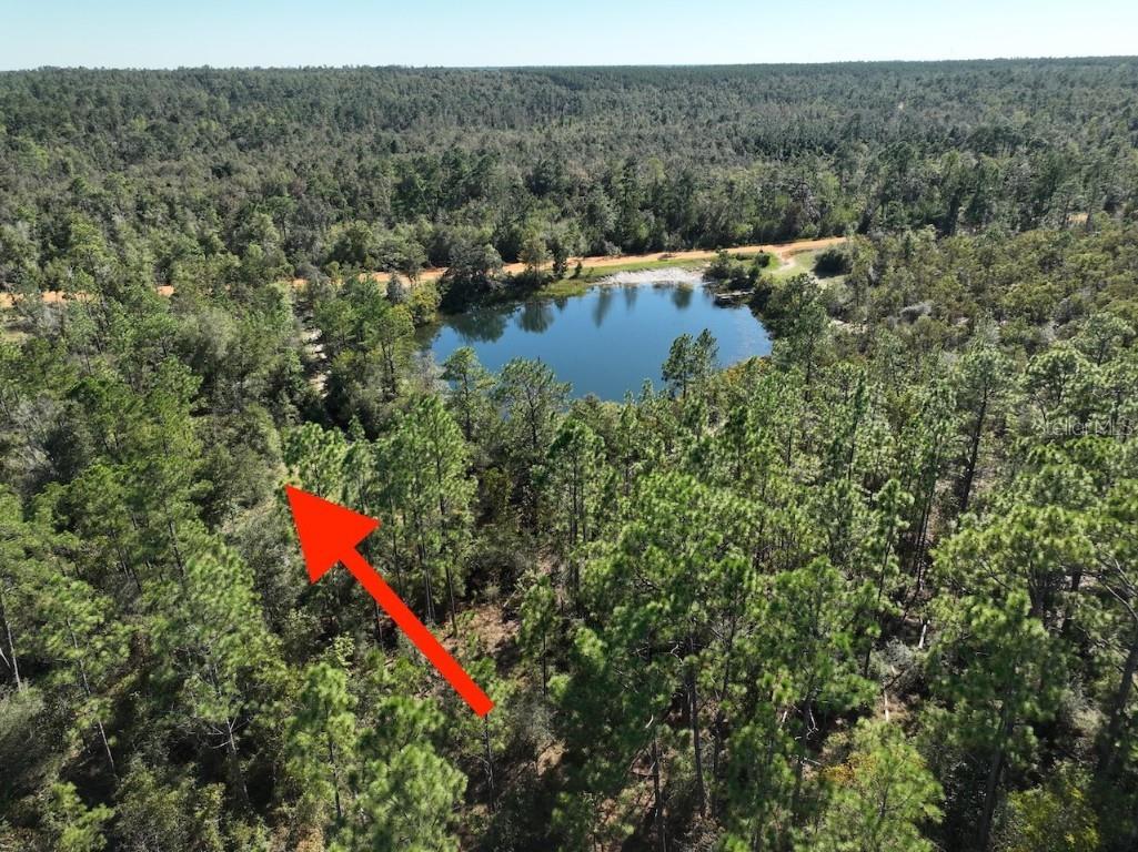 Richland Street Alford FL 32420 O6363876 image15