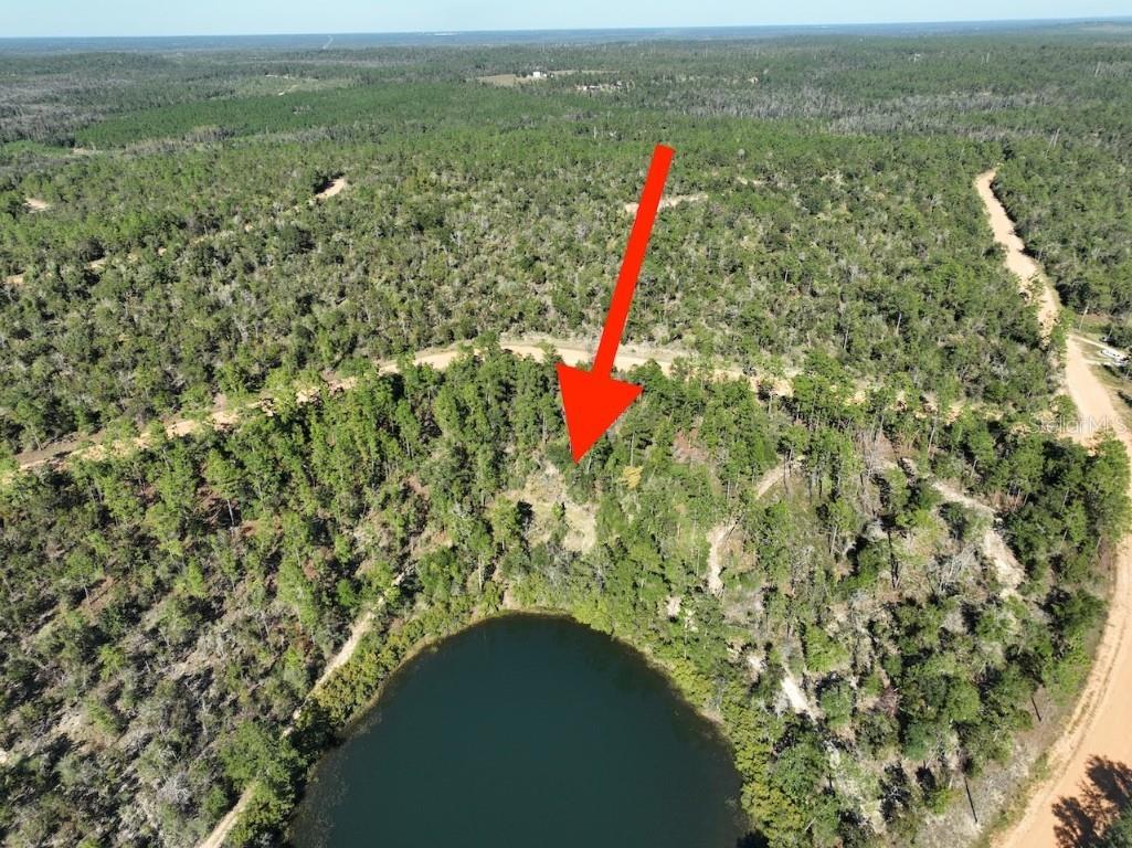 Richland Street Alford FL 32420 O6363876 image16