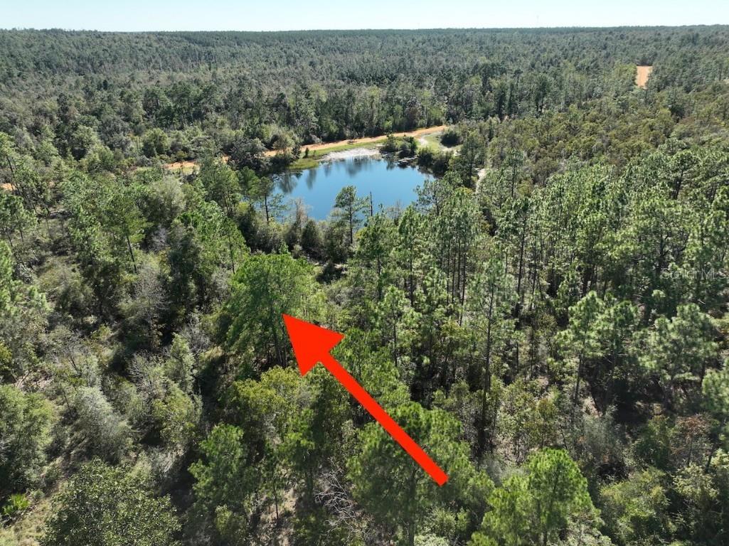 Richland Street Alford FL 32420 O6363876 image2