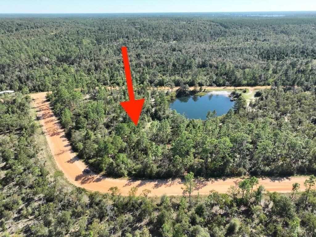 Richland Street Alford FL 32420 O6363876 image6