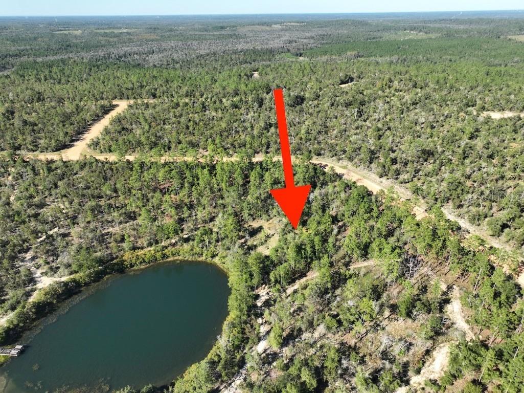 Richland Street Alford FL 32420 O6363876 image8