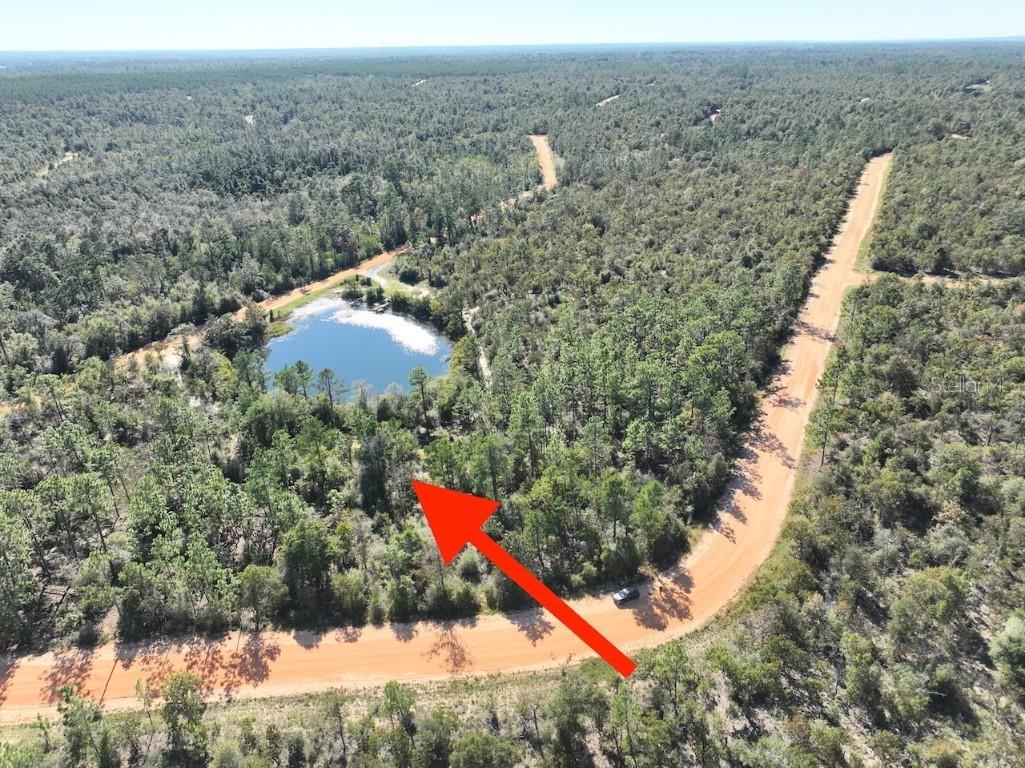 Richland Street Alford FL 32420 O6363876 image9