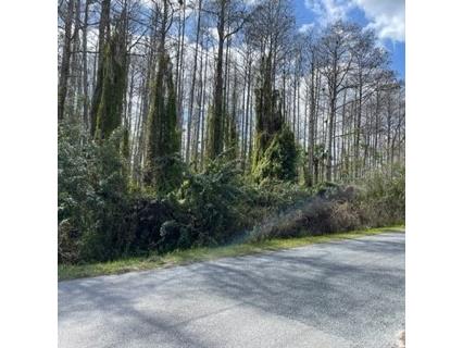 Richmond Road Saint Cloud FL 34773 O6007548 image1