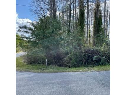 Richmond Road Saint Cloud FL 34773 O6007548 image2