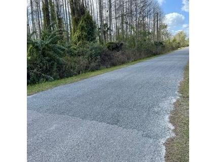 Richmond Road Saint Cloud FL 34773 O6007548 image3