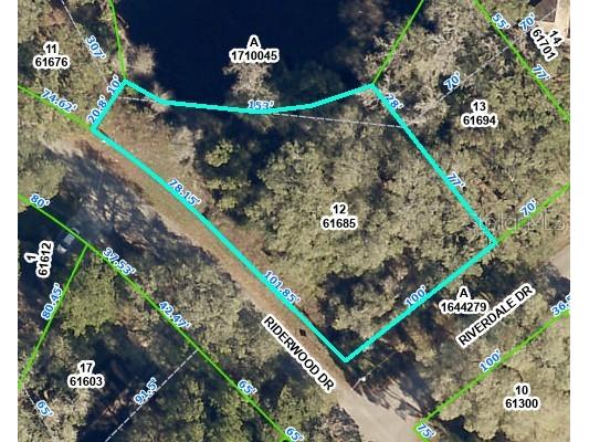 Riderwood Drive Dade City FL 33523 T3420121 image1