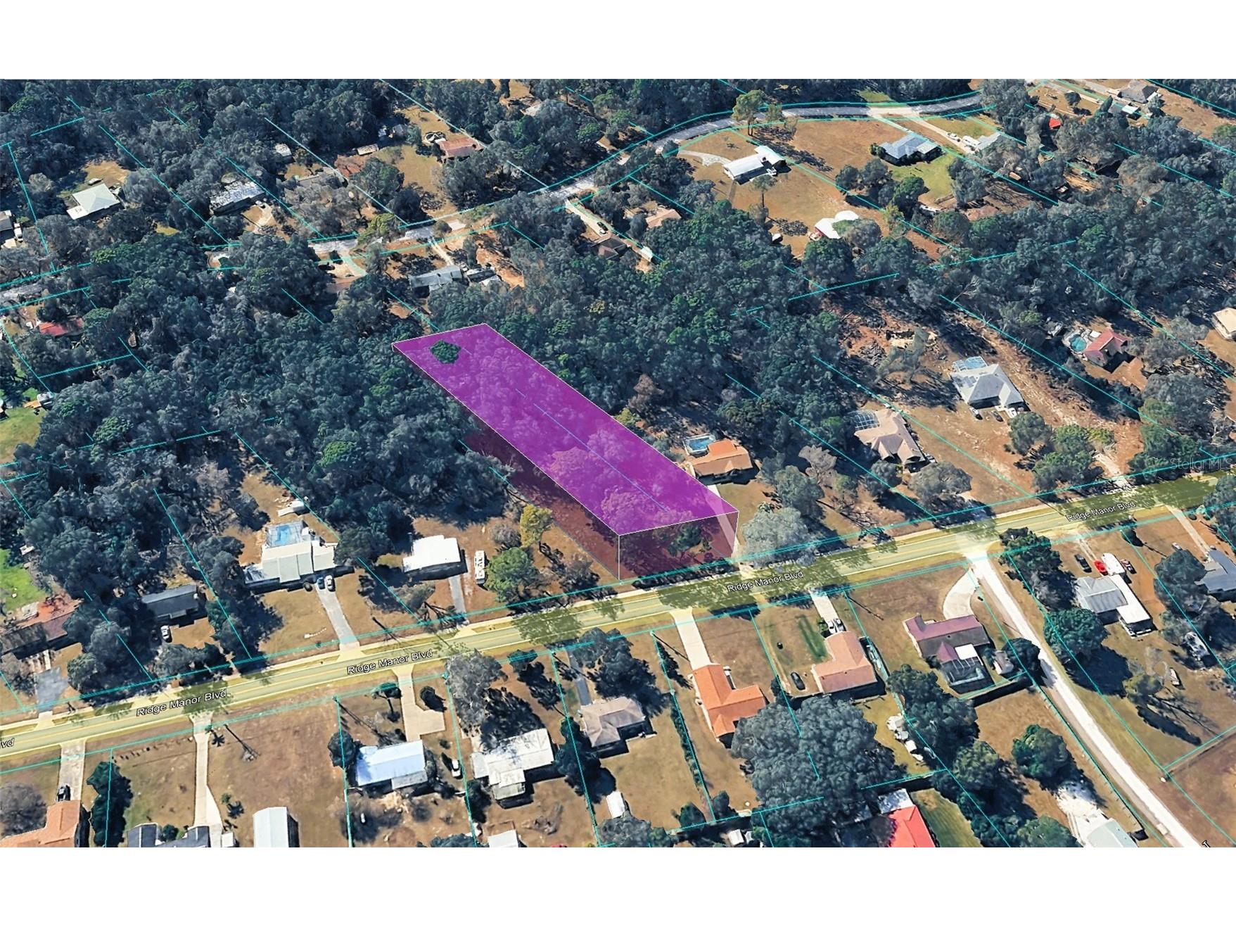 Ridge Manor Boulevard Dade City FL 33523 TB8470137 image1