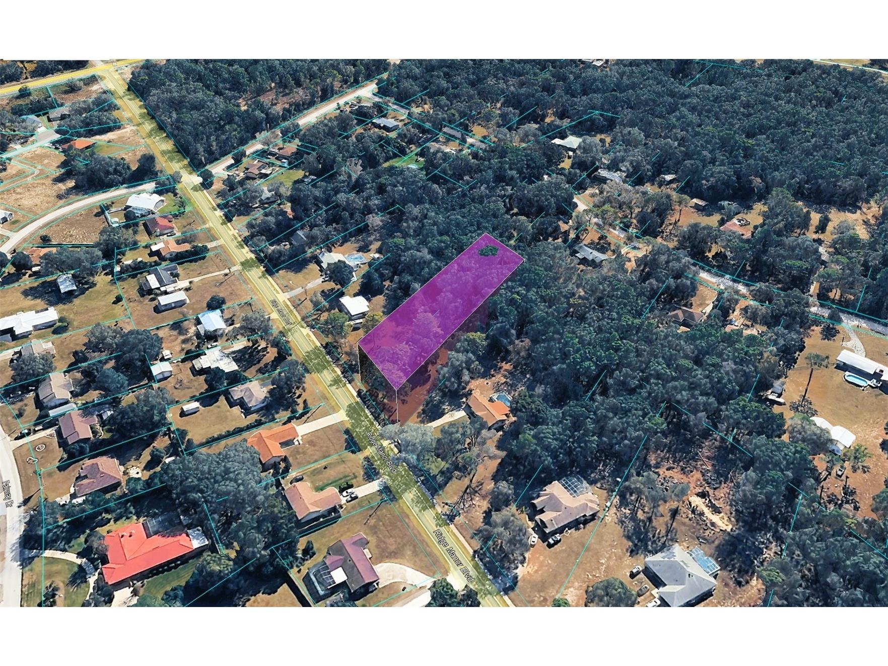 Ridge Manor Boulevard Dade City FL 33523 TB8470137 image2