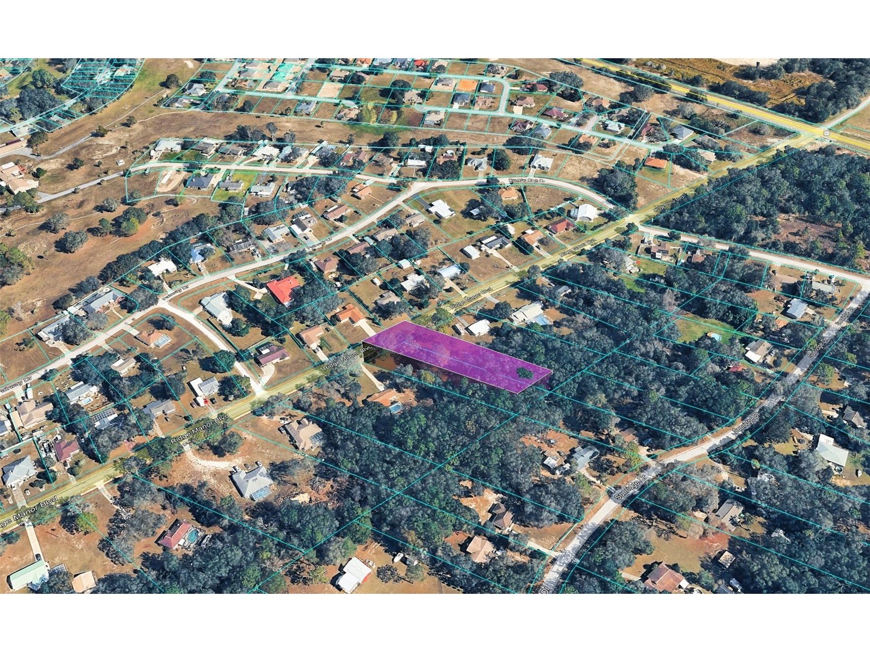 Ridge Manor Boulevard Dade City FL 33523 TB8470137 image3