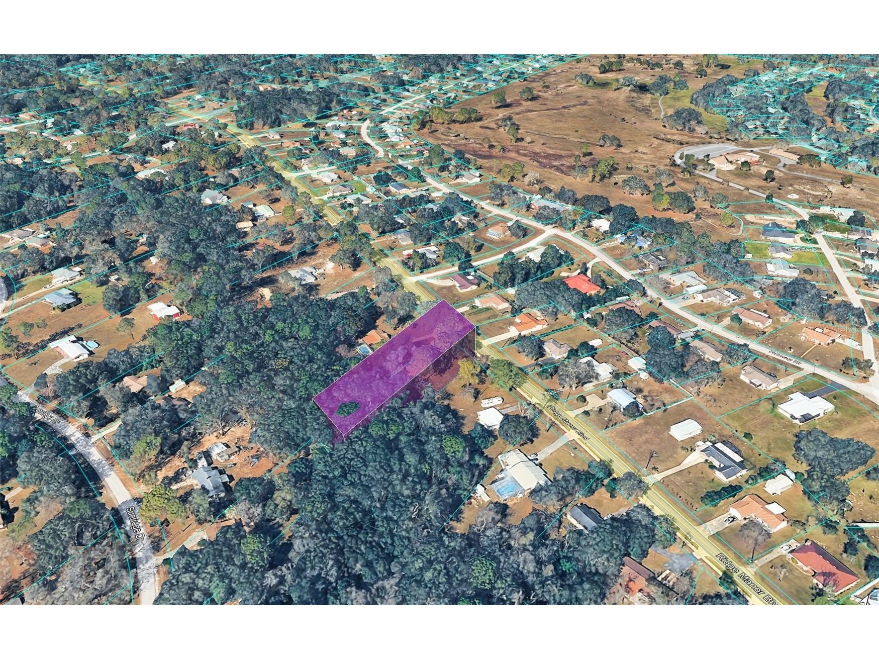 Ridge Manor Boulevard Dade City FL 33523 TB8470137 image4