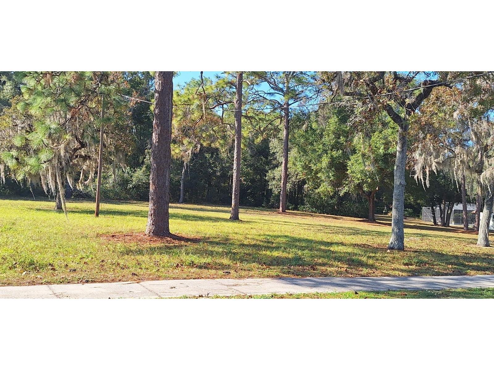 Ridge Manor Boulevard Dade City FL 33523 TB8470137 image5