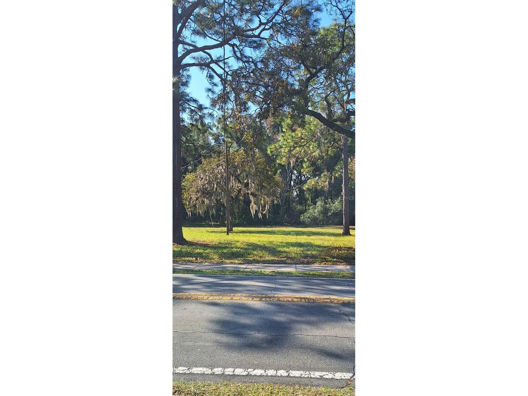 Ridge Manor Boulevard Dade City FL 33523 TB8470137 image6
