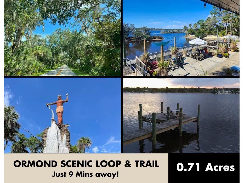 Ridgehaven Avenue Ormond Beach FL 32174 TB8516345 image12