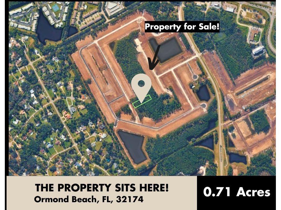 Ridgehaven Avenue Ormond Beach FL 32174 TB8516345 image3