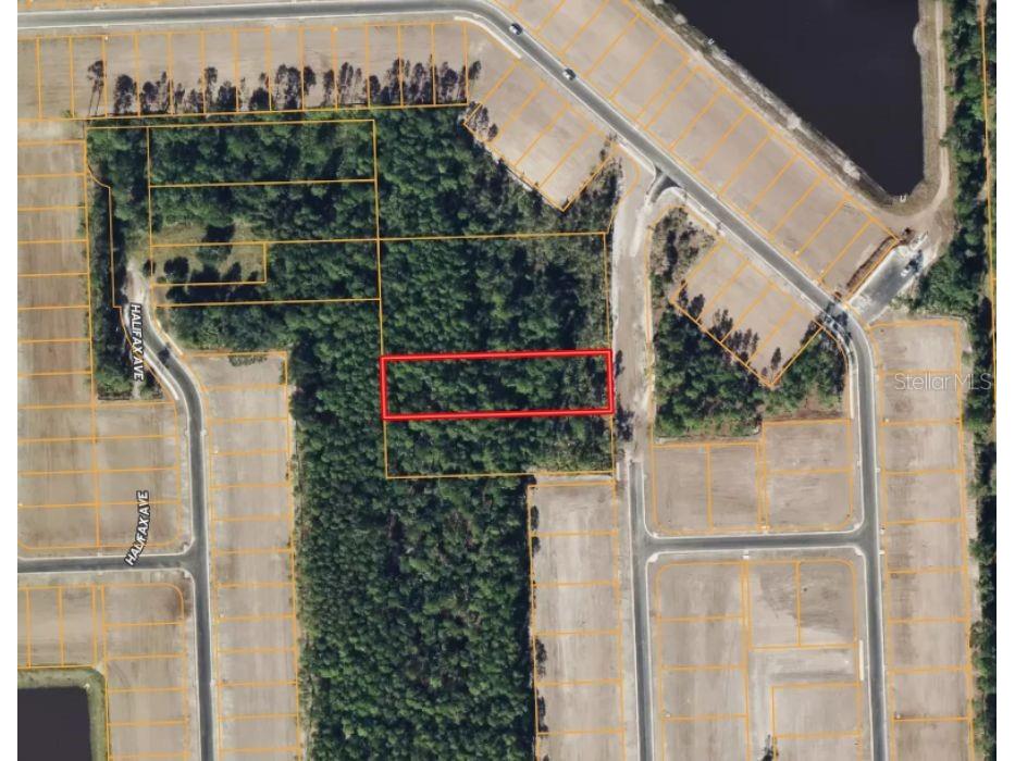 Ridgehaven Avenue Ormond Beach FL 32174 TB8516345 image4