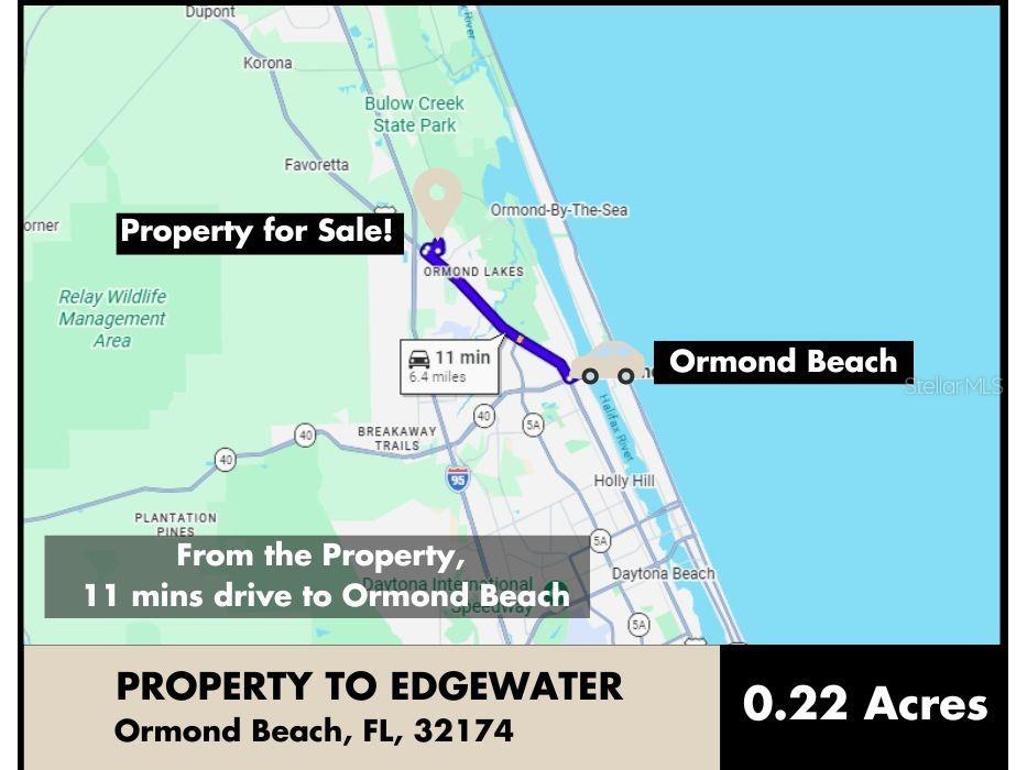 Ridgehaven Avenue Ormond Beach FL 32174 TB8516345 image5