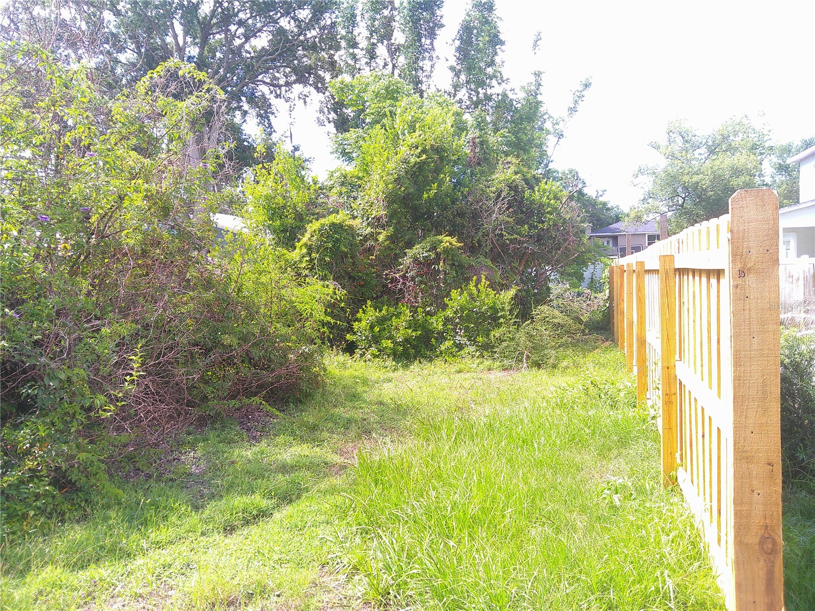 Ridgewood Avenue Maitland FL 32751 O6414703 image4