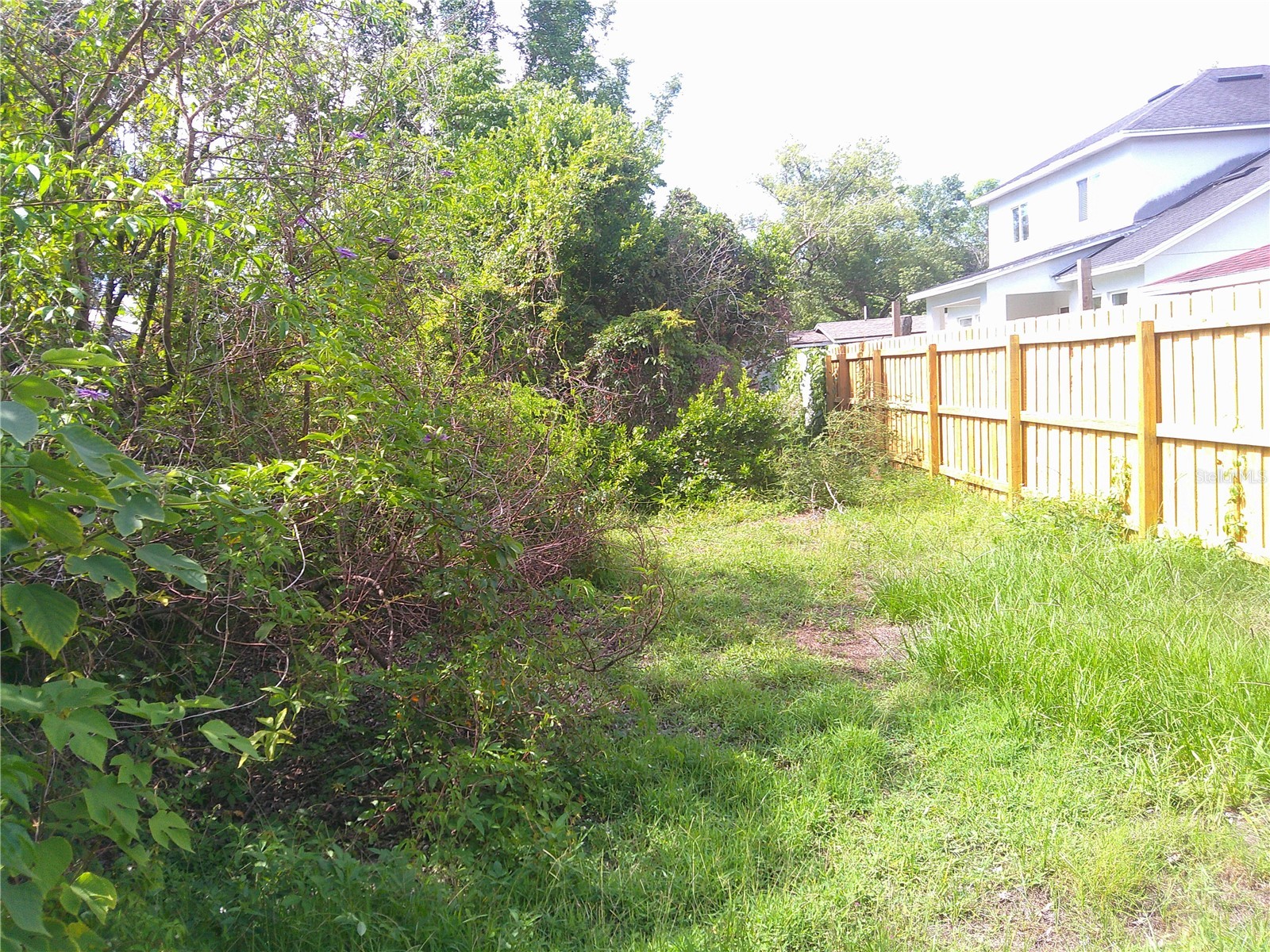 Ridgewood Avenue Maitland FL 32751 O6414703 image5